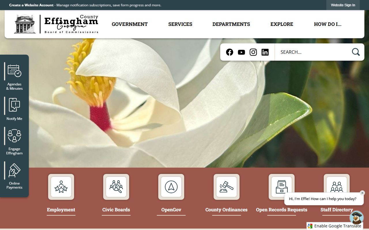 effingham county divorce decree